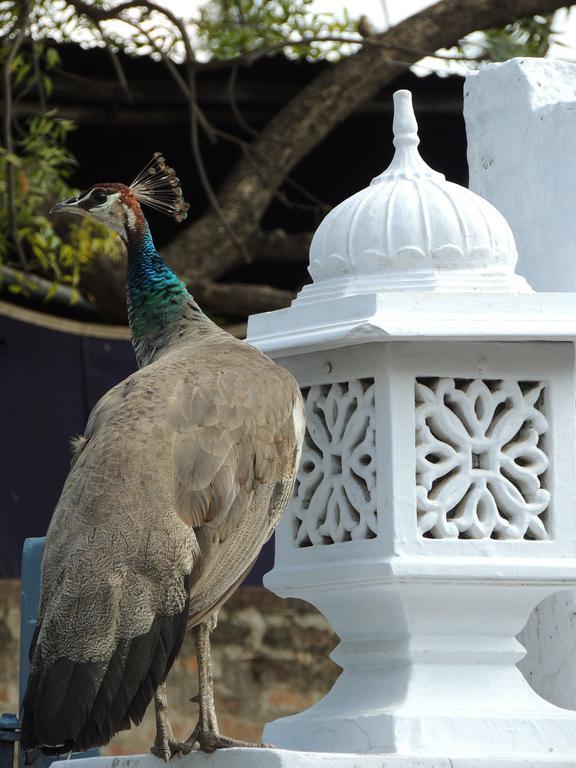 Santha Bagh Hotel Kukas Exterior photo